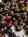 Close up of dark cherries with stems