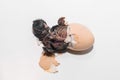 Close-up of dark newborn cute little small chick trying to get out of hatching chicken eggshell on white background