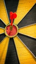 Close Up of a Dart Hitting a Bullseye on a Target