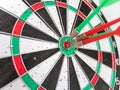 Close Up of Dart Holes on Dart Board Due to Throwing Darts Multiple Times Royalty Free Stock Photo