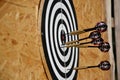 Close up of darts arrows being stuck in the target board Royalty Free Stock Photo