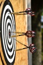 Close up of darts arrows being stuck in the target board Royalty Free Stock Photo