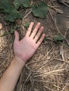 Dead man hand on the ground Royalty Free Stock Photo