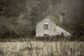 A close up of dead plants in winter with a ruined old building blurred in the background. With a muted edit. Knapp and Papermill, Royalty Free Stock Photo