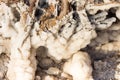 Close Up of Dead Sea Salt