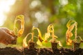 Dead young plant Tobacco Tree in dry soil on green blur background. Environment concept with empty copy space for text or design