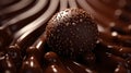 A close-up of a decadent bittersweet chocolate truffle, glistening in