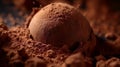 A close-up of a decadent chocolate truffle being delicately coated in a smooth layer of cocoa powder. The fine details and