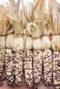 Decoration colorful multicolored corn texture hanging on wall for background Royalty Free Stock Photo