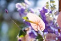 Close-up decoration with fresh flowers of venues