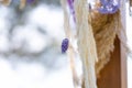 Close-up decoration with fresh flowers of venues. Sprigs of lavender Royalty Free Stock Photo