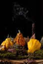 Close-up of decoration for Halloween with pumpkins, autumn leaves and black candle extinguished with smoke Royalty Free Stock Photo