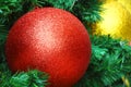 Close up decoration hanging on Christmas tree branches by red and yellow bauble ball Royalty Free Stock Photo