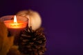 Close up of decoration white small Halloween pumpkins yellow orange leaves pine cone and burning candle on vibrant purple blurred Royalty Free Stock Photo