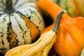 Close up of decorative autumn pumpkins Royalty Free Stock Photo