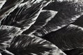 Close up. Decorative black bird