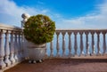 Close-up of a decorative bush near the balustrade over sea