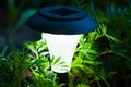 Decorative Solar Lamp Burn In Flower Foliage In Garden In Dark T