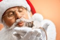 Close up of decorative white rat sitting on Santa hands Royalty Free Stock Photo
