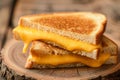 Close up of delectable grilled cheese sandwich on rustic wooden platter, appetizing food photography