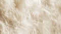 A close-up of delicate, ethereal white feathers creating a soft, textured background. A copy of the space, a place for