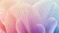 Transition from pink to purple hues creating a serene gradient Royalty Free Stock Photo