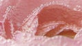 Close-up of delicate rose petals with bubbles. Stock footage. Pink rose petals under water with bubbles. Lots of bubbles Royalty Free Stock Photo