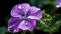 A close-up of a delicate violet blossom covered in dew droplets. AI Generative