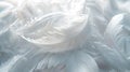 Elegant white feathers texture in soft light. perfect for backgrounds and design projects. serene and stylish. AI