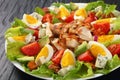 Close-up of delicious american cobb salad Royalty Free Stock Photo