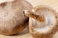 Close up of delicious edible brown mushrooms