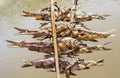 Fish Skewers on Mekong River - Laos Style Royalty Free Stock Photo