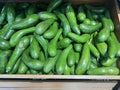 Close-up of delicious fresh avocados on display in supermarket trays. Green avocado texture Royalty Free Stock Photo