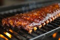 Close-up of delicious fried ribs glazed in honey and soy sauce on a grill grate. American BBQ pork ribs. Background Royalty Free Stock Photo