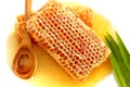 Close up delicious golden honeycomb on white background.Stock ph Royalty Free Stock Photo