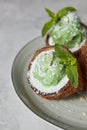 Close-up of delicious green ice cream with mint leaf in a coconut shell on a gray plate. Royalty Free Stock Photo