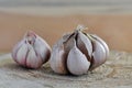 Close-up of a delicious head of garlic on a wooden surface. Condiment. Clove of garlic