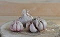 Close-up of a delicious head of garlic on a wooden surface. Condiment. Clove of garlic