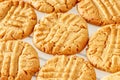 Close up delicious homemade peanut butter cookies on cooling rack. White background. Healthy snack concept. Macro photo