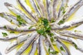 Close up of Delicious Marinated anchovies with parsley, olive oil and vinegar Royalty Free Stock Photo