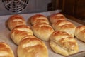 Close up of delicious milk bread buns baking and browning in a home oven Royalty Free Stock Photo