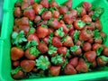 The close up of delicious red strawberry is displaying on the green basket in the retail market Royalty Free Stock Photo