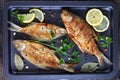 Close-up of delicious roast bream fish Royalty Free Stock Photo