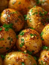 Close up of Delicious Seasoned Hasselback Potatoes Garnished with Parsley on a Dish Royalty Free Stock Photo