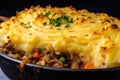 Close-up of delicious Shepard\'s pie with golden-brown mashed potato topping and rich, savory meat filling