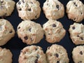 Close-up of delicious sweets homemade chocolate chip cookies Royalty Free Stock Photo