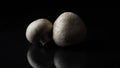 Close up of delicious white mushrooms on black background. Frame. The concept of proper nutrition Royalty Free Stock Photo