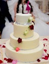 Close-up of delicious white wedding cake decorated with pink roses Royalty Free Stock Photo