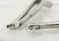 Close up of dental extraction forceps Royalty Free Stock Photo