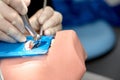 Close-up of dentist hands who is learning to treat teeth on mannequin of human head. Hands of a medical student in Royalty Free Stock Photo